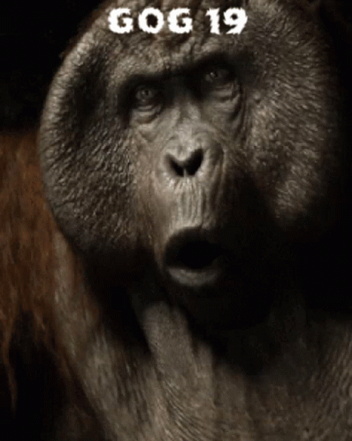 Fat Monkey Singing And Making Music GIF