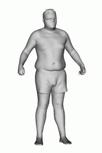 Fat People Anatomy GIF