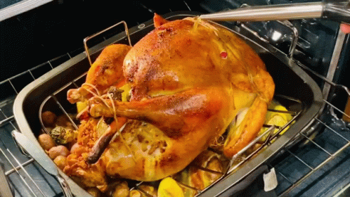 Fat Roasted Chicken Getting Basted GIF