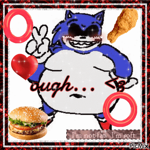 Fat Sonic With Hamburger and Chicken