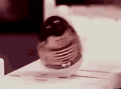 Fat Weeble Wobble Gif GIF