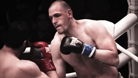 Fatality Knock Out GIF