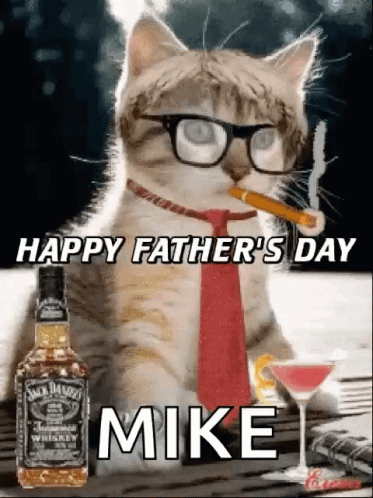 Fathers Day Mike Cat GIF