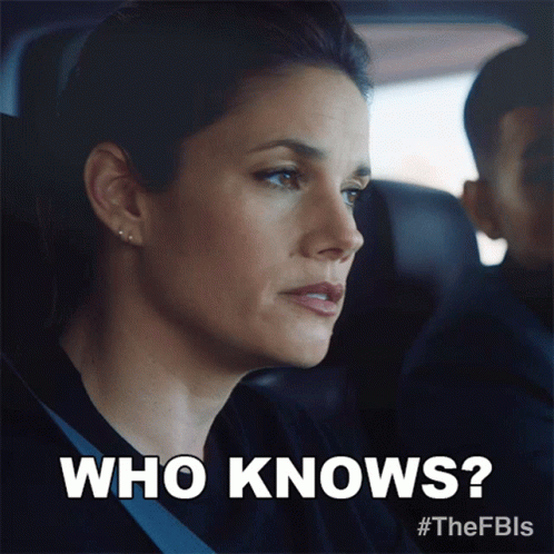 Fbi Missy Peregrym Who Knows GIF