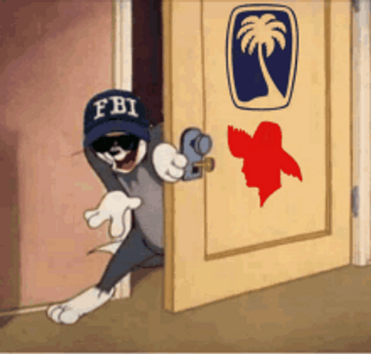 Fbi Open Door Lights Flash Tom Jerry Meme GIF