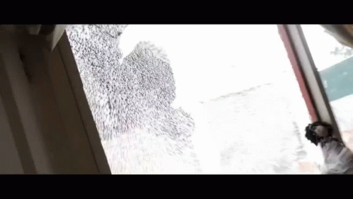 Funny Meme Fbi Open Up Birthday Party Raid GIF