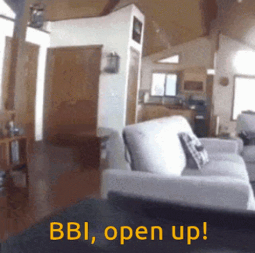 Fbi Open Up Bbi Bear Meme GIF