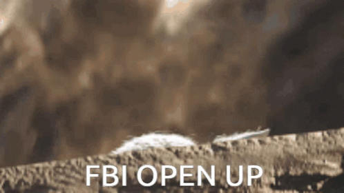 Fbi Open Up Yoda Star Wars Meme GIF