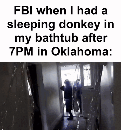 Fbi When I Had A Sleeping Donkey In My Bathtub After 7Pm In Oklahoma: GIF