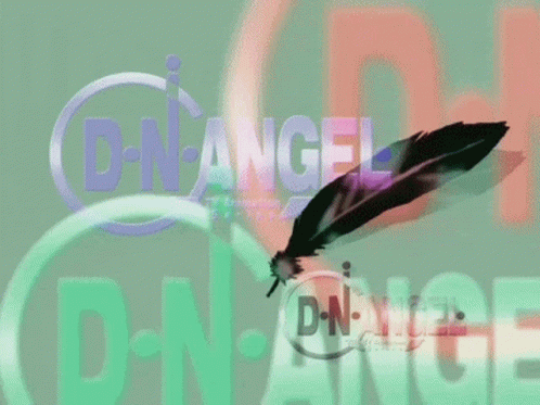 Feather Flying In Front Of D-N Angel GIF