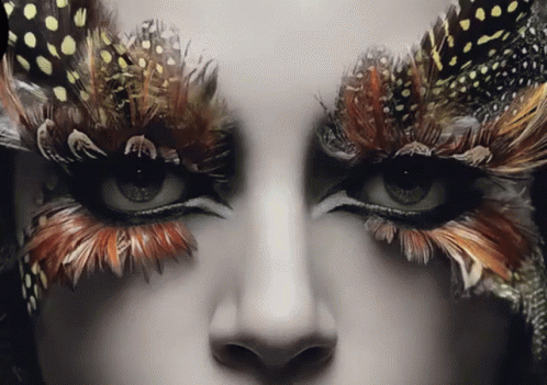 Feather-like Fake Eyelashes GIF