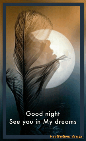 Feather with Good Night See You in Dreams