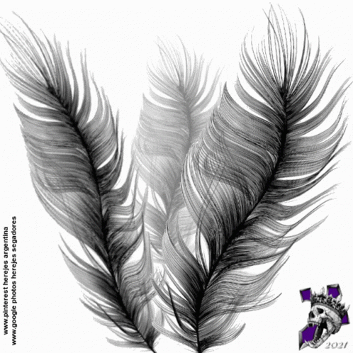 Feathers With 2021 GIF