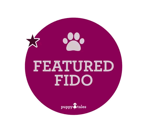 Featured Fido Purple Circle