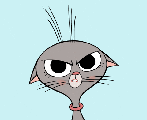 Fed Up Cat GIF