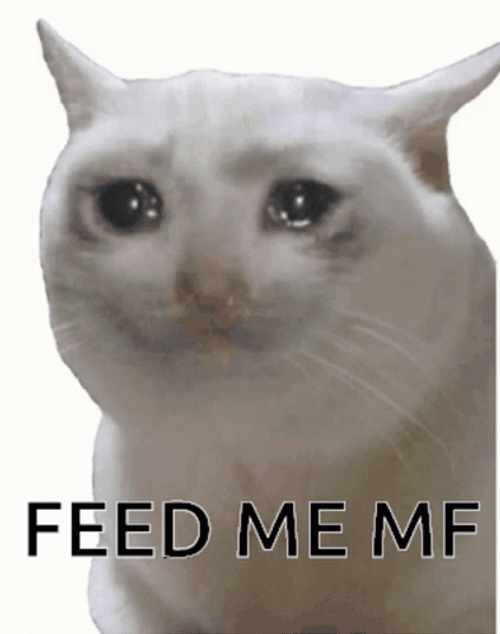 Feed Me GIF
