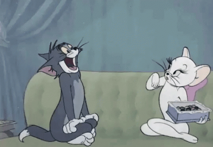 Feed Me Two Cats Tom And Toodles GIF