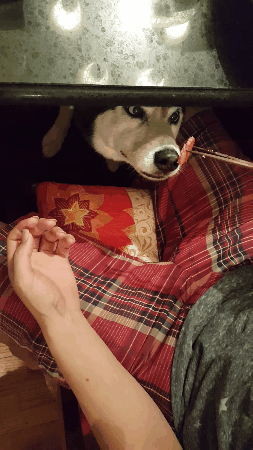 Feeding Food Under GIF