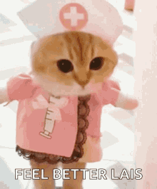 Feel Better Cat Nurse GIF
