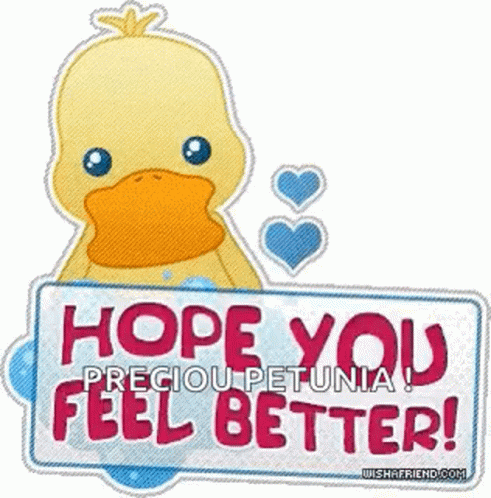 Feel Better Soon Duck Wishes GIF