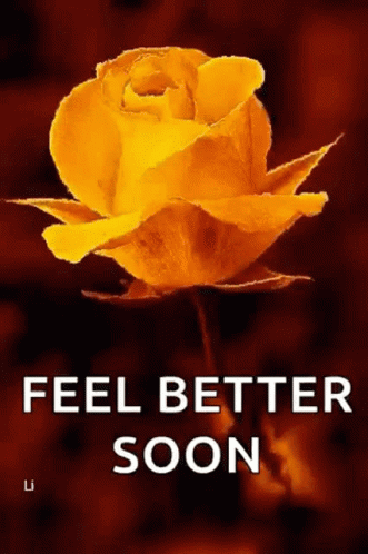 Feel Better Soon Yellow Roses GIF
