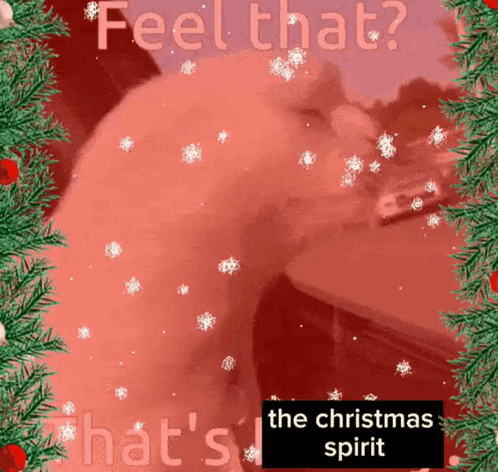 Feel That Thats Christmas Spirit Meme GIF