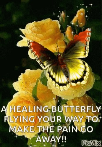 Feeling Better Healing Butterfly Text Art GIF