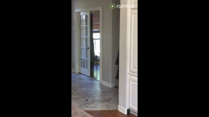 Feet Hurt Dog Imitating Injured Owner GIF