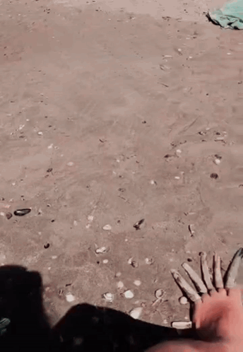 Feet Sticking Out of Water Reaching