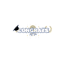 Felicidades Congratulations Graduation Celebration Sparkles GIF