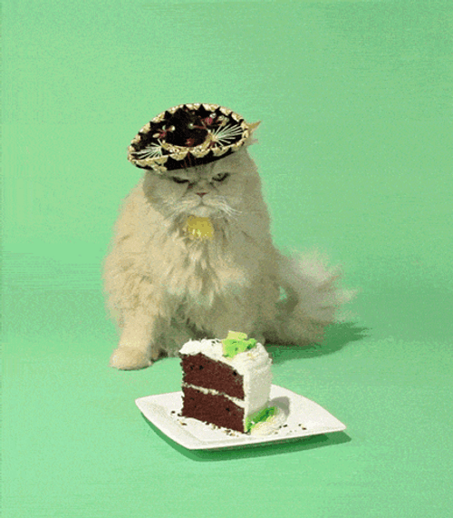 Felicitaciones De Cumpleaños GIF