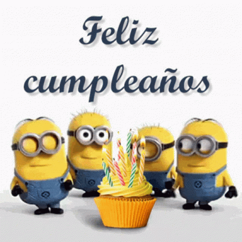 Feliz 498 X 498 Gif GIF