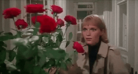 Feliz Aniversario 480 X 260 Gif GIF