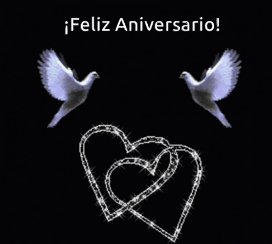Feliz Aniversario De Bodas GIF