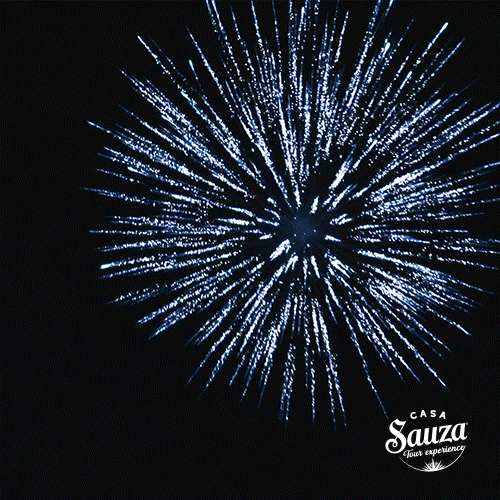 Feliz Año 2024 500 X 500 Gif GIF