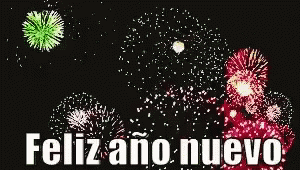 Feliz Año Nuevo 2024 300 X 170 Gif GIF