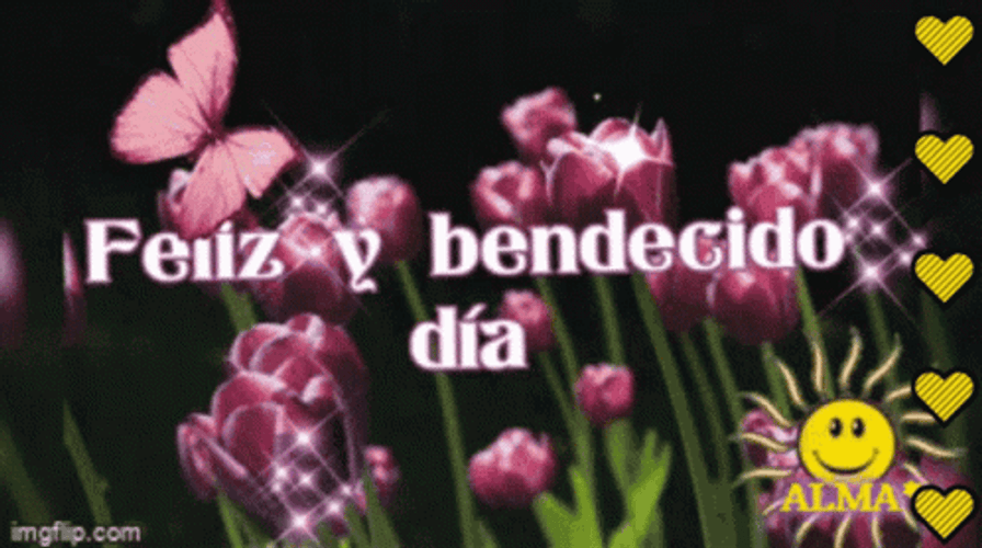Feliz Bendecido Dia Beautiful Sunshine GIF