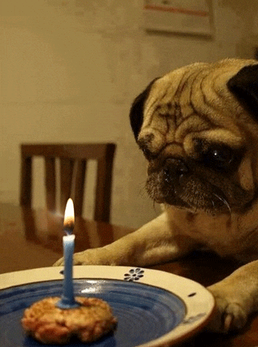 Feliz Cumple 369 X 496 Gif GIF