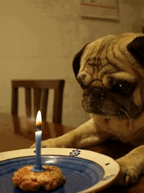 Feliz Cumple GIF