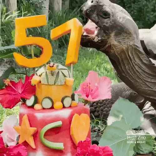 Feliz Cumpleaños Aesthetic GIF
