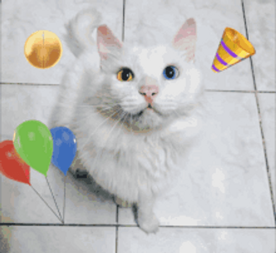 Feliz Cumpleaños Emoji And Cat GIF