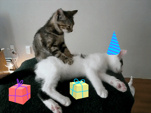 Feliz Cumpleaños Meme 500 X 375 Gif GIF