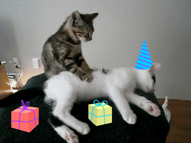 Feliz Cumpleaños Meme GIF