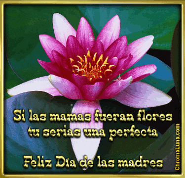 Feliz Dia De La Madres Glittery Floral Bloom GIF
