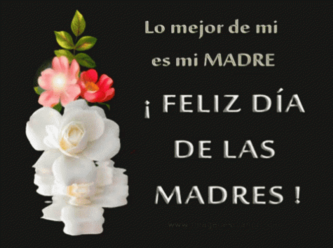 Feliz Dia De La Madres White Flowers GIF
