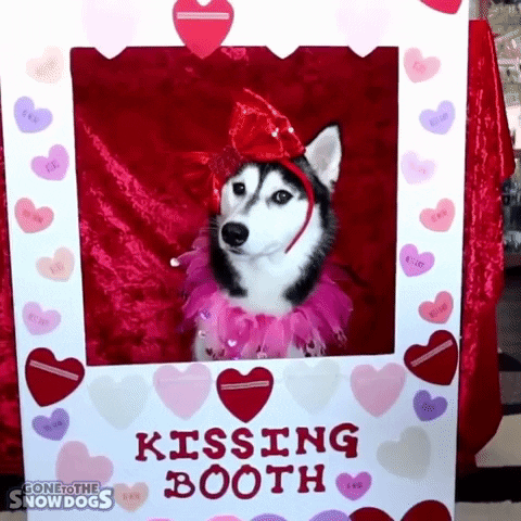 Feliz Dia De San Valentin Booth GIF