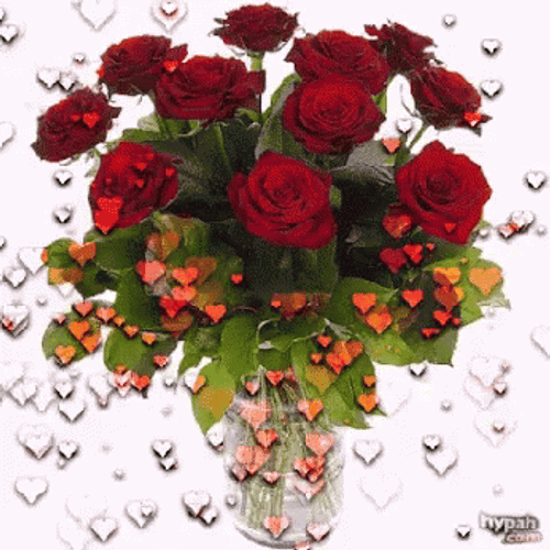 81247 - 18 Feliz Dia De San Valentin Roses