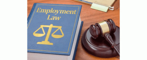 Feliz Dia Del Abogado 498 X 206 Gif GIF