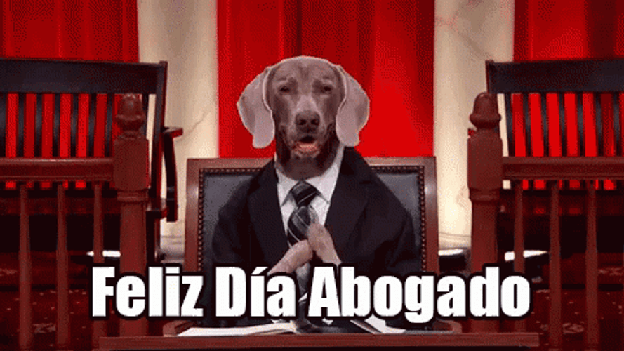 Feliz Dia Del Abogado GIF