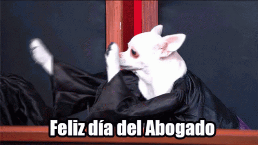 Feliz Dia Del Abogado GIF